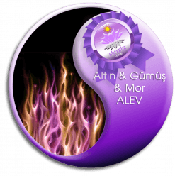 Altın Gümüş Mor Alev - Bütünsel Şifa Akademisi