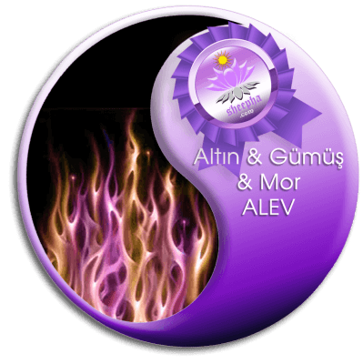 Altın Gümüş Mor Alev - Bütünsel Şifa Akademisi