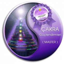 Çakra Güçlendirmeleri Master - Chakras Empowerments - Bütünsel Şifa Akademi